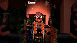 Balijuri Kali puja 2024Mago nou je tumi sudhu protimajoykhepamaa joykalimaviralvideoviralshort [upl. by Harpp]