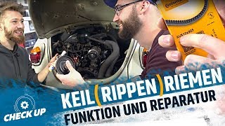 KEILRIPPENRIEMEN  KEILRIEMEN  STRUMPFHOSE  Funktion und Alternativen  CHECK UP  MOVE IT [upl. by Coulter979]