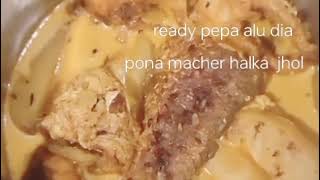 Alu pepa dia macher jhol peaj ada roson chara asadharan sader hoy pona macher resipe food video [upl. by Attenaz]