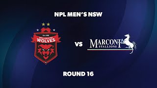 NPL Men’s NSW Round 16 Wollongong Wolves FC v Marconi Stallions FC [upl. by Port923]