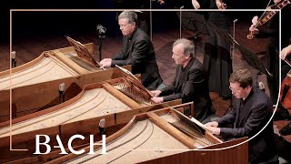 Bach  Concerto for three harpsichords in D minor BWV 1063  Mortensen  Netherlands Bach Society [upl. by Ahsikym531]