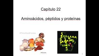 Clase Aminoácidos Parte 1 [upl. by Strenta]