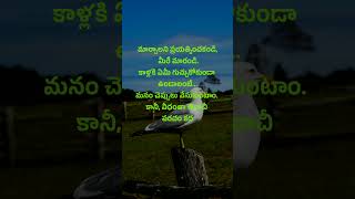 Jeevitha satyalu 682  quotations  telugu sukthulu  top matalu  neethi vakyalu  manchi matalu [upl. by Luoar]