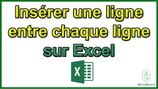 Comment insérer une ligne entre chaque ligne Excel [upl. by Ladiv]