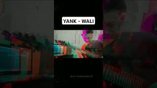 YANK  WALI BAND waliband fanswaliband2021 guitar shorts guitar covermusic [upl. by Ellerud950]