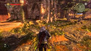 Lets Play The Witcher 2  Part 7 Opening the Gates [upl. by Missak]