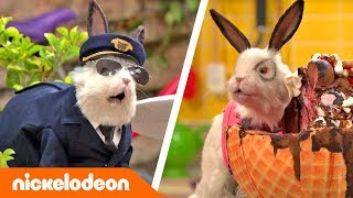 Die Thundermans  Das Beste von Dr Colosso Teil 2 🐇  Nickelodeon Deutschland [upl. by Dnalwor]