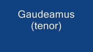 Gaudeamus tenor [upl. by Lymn]