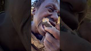 This baboon is so delicioushadzatribe foodnature documentary [upl. by Matthiew]