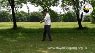 Wild Goose Qigong  Pai Da  Patting Gong  Demonstration [upl. by Aelgna]