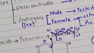 Synthesis of steroid hormone part 1  steroid hormone synthesis in UrduHindi  2020 [upl. by Stafford610]