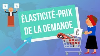 Lélasticitéprix de la demande [upl. by Tiat]