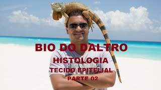 HISTOLOGIA  TECIDO EPITELIAL  PARTE 02 [upl. by Lessur498]