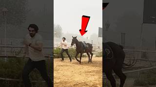 Can I Beat This Horse In A Race 🐎🏃🏻‍♂️ [upl. by Deming634]