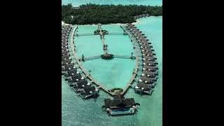 Niyama Private Islands Maldives Maldives Luxury Resort  V Travels Luxury [upl. by Eical]