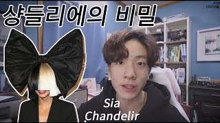 샹들리에의 충격적인 비밀 Sia  Chandelir 가사해석 [upl. by Miarzim919]