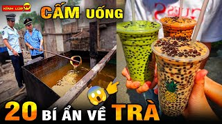 🔥 20 Bí Ẩn Ly Kỳ Và Thú Vị Về Trà Nếu Biết Những Điều Này Chưa Chắc Bạn Đã Dám Uống  Kính Lúp TV [upl. by Saddler]