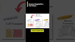 Enzyme Regulation Feedback Inhibition vs Gene Regulation [upl. by Kenwee971]