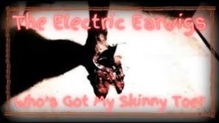 quotWhos Got My Skinny Toequot Thomas Truhitte amp The Electric Earwigs [upl. by Ailero]