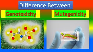 Difference Between Genotoxicity and Mutagenicity [upl. by Persis104]