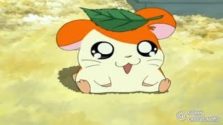 Hamtaro  Opening 1080P Castellano [upl. by Rudie]