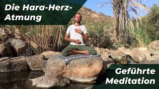 Die HaraHerzAtmung geführte Meditation  ATEMOnlinekursde [upl. by Nodnnarb157]