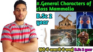 General Characters of Class Mammalia  BSc 3rd Year Zoology 5th Semester 2nd paper [upl. by Cottrell427]