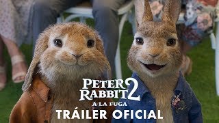 PETER RABBIT 2 A LA FUGATráiler Oficial EN ESPAÑOL y Fecha de lanzamiento  Sony Pictures España [upl. by Nylinej]