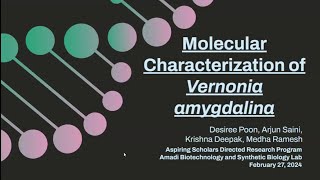 Molecular Characterization of Vernonia amydalina [upl. by Romona465]