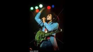 Bob Marley 19780605 Live At The Spectrum Philadelphia [upl. by Asatan749]