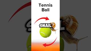 Snail 🐌 vs Cheetah 🐆 Tennis Ball 🥎 vs Vegas Sphere 🟡 Epic Race [upl. by Gnuhn]