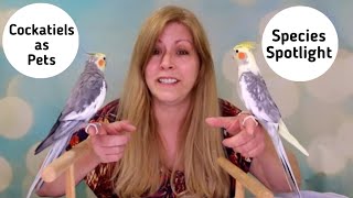 Cockatiels as Pets Species Spotlight [upl. by Enneyehc191]