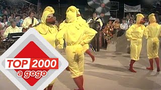 De vogeltjesdans  Het verhaal achter het nummer  Top 2000 a gogo [upl. by Alimak]