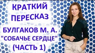 Пересказ Булгаков М А «Собачье сердце» Часть 1 [upl. by Fem22]