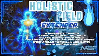 Holistic Field Extender INSANE RESULTS Advanced Morphic Field [upl. by Leahcimed]