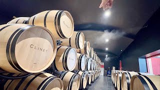 Château Clinet WINE TOUR REVIEW  Pomerol SaintÉmilion Bordeaux France 🇫🇷 [upl. by Yendis]