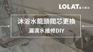 水龍頭漏水維修DIY－5分鐘更換浴室沐浴水龍頭閥芯 [upl. by Eiramanitsirhc]