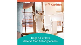 CANIDAE Pure Senior Recipe [upl. by Trammel545]