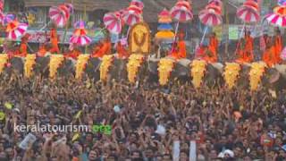 Thrissur Pooram Kerala [upl. by Senskell]