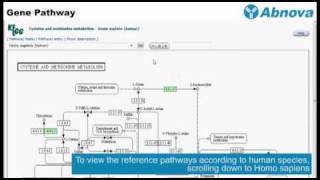 Gene Pathway [upl. by Aeila]