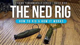 The NED Rig – How to RIG amp HOW it Works [upl. by Elyc]