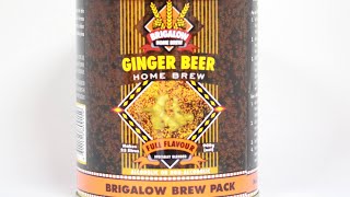 Best Alcoholic Ginger Beer Recipe  Homebrew [upl. by Akeryt]