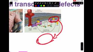 Molecular biology of cancer Hallmarks of cancer  Block 11 [upl. by Enyal]