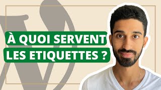 A quoi servent les ÉTIQUETTES dans WordPress [upl. by Reahard684]