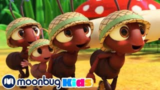 The Ants Go Marching  Sing Along  CoComelon  Moonbug Literacy [upl. by Feldt]