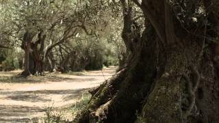 MARSEILLAN ENVIRONNEMENT [upl. by Emirak]