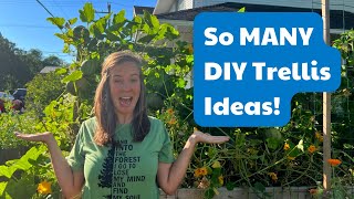 8 Easy DIY Trellis Ideas From Other Gardeners [upl. by Hendel87]