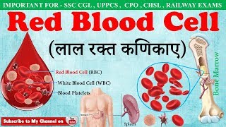 Red Blood Cellsलाल रक्त कणिकाए  RBC  Fuction of red blood cells in hindi  ssc campus mp4 [upl. by Elena]