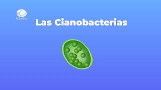 ¿Qué son las Floraciones de Cianobacterias [upl. by Melodie]