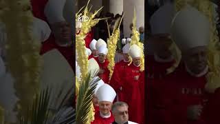 🌿Rameaux 2024  revivez la procession sur la place SaintPierre à Rome [upl. by Ratcliffe]